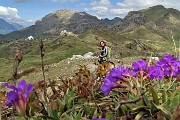 59  Primula di Lombardia (Primula glaucescens) con vista in Cima di Piazzo e Zuccone Campelli